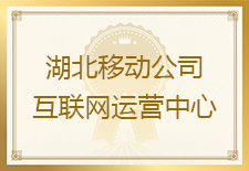 友声湖北支撑团队协助湖北移动公司荣获多个奖项，受到客户一致好评和赞扬